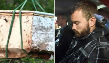Man pleads guilty to teacher David Charles Thornton's 'chest freezer' murder