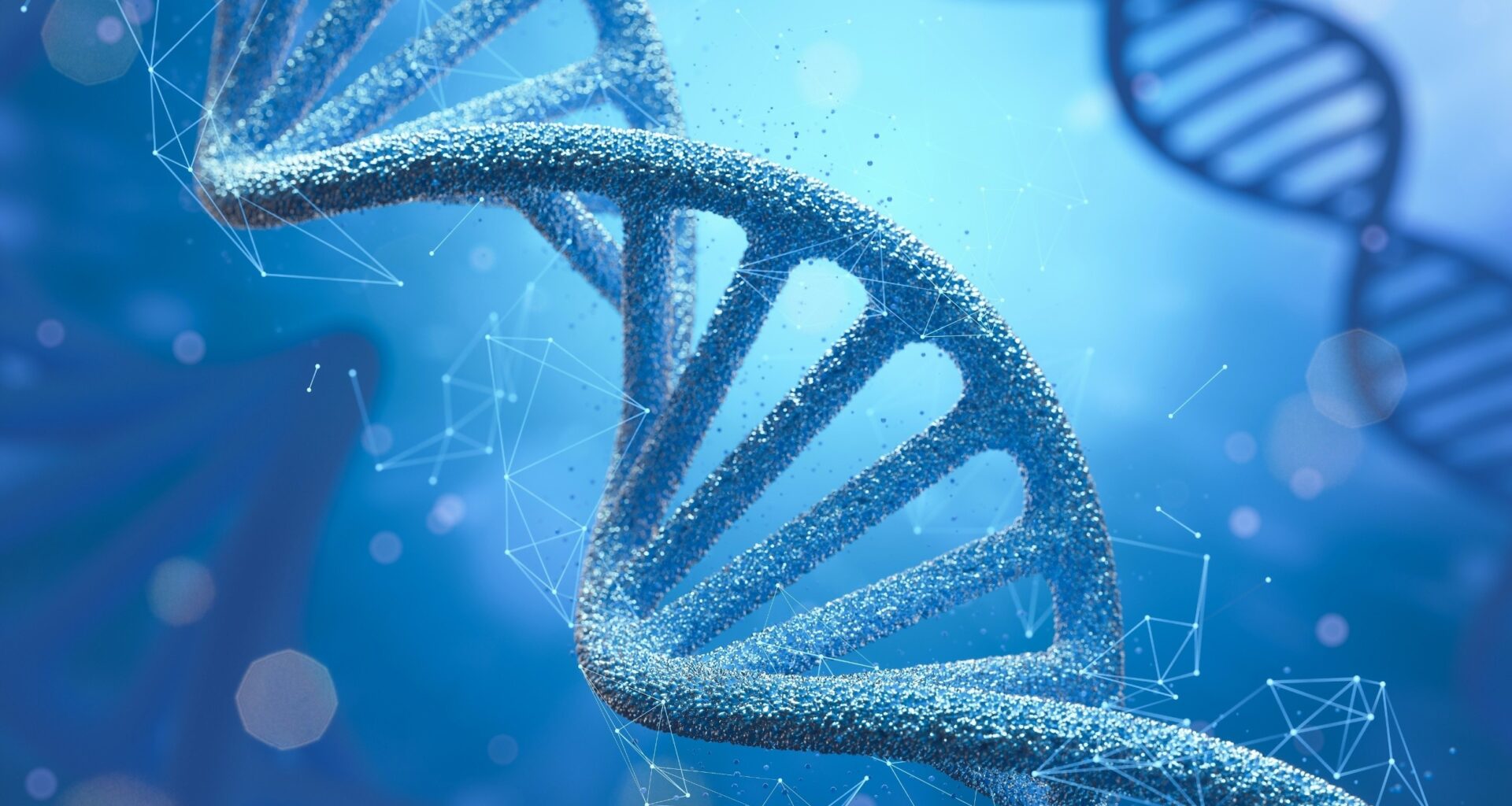 Humans evolved faster than expected after farming reshaped life