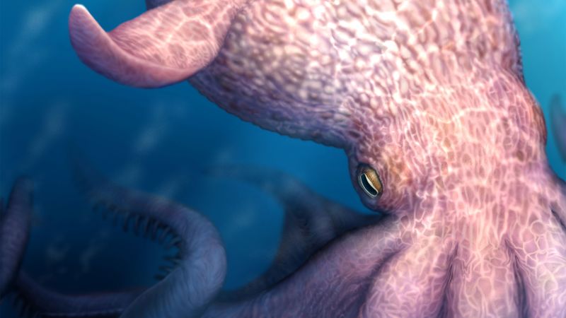 Giant octopus was a top predator 100 million years ago