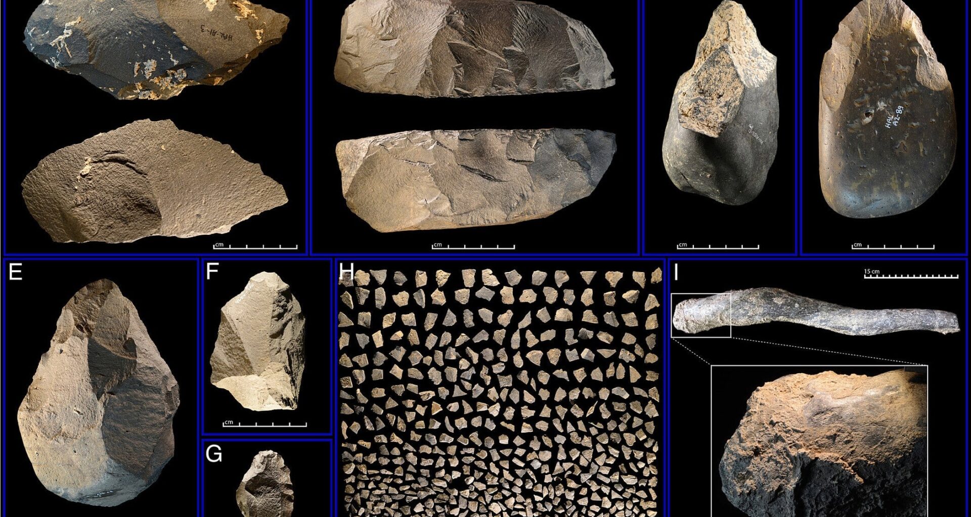 Large MSA tools and small debitage from Faro Dab