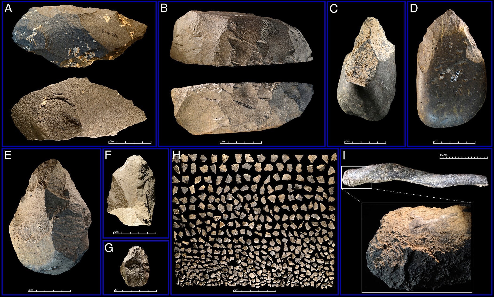 Large MSA tools and small debitage from Faro Dab