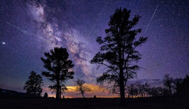 Best Spots to Watch in NSW