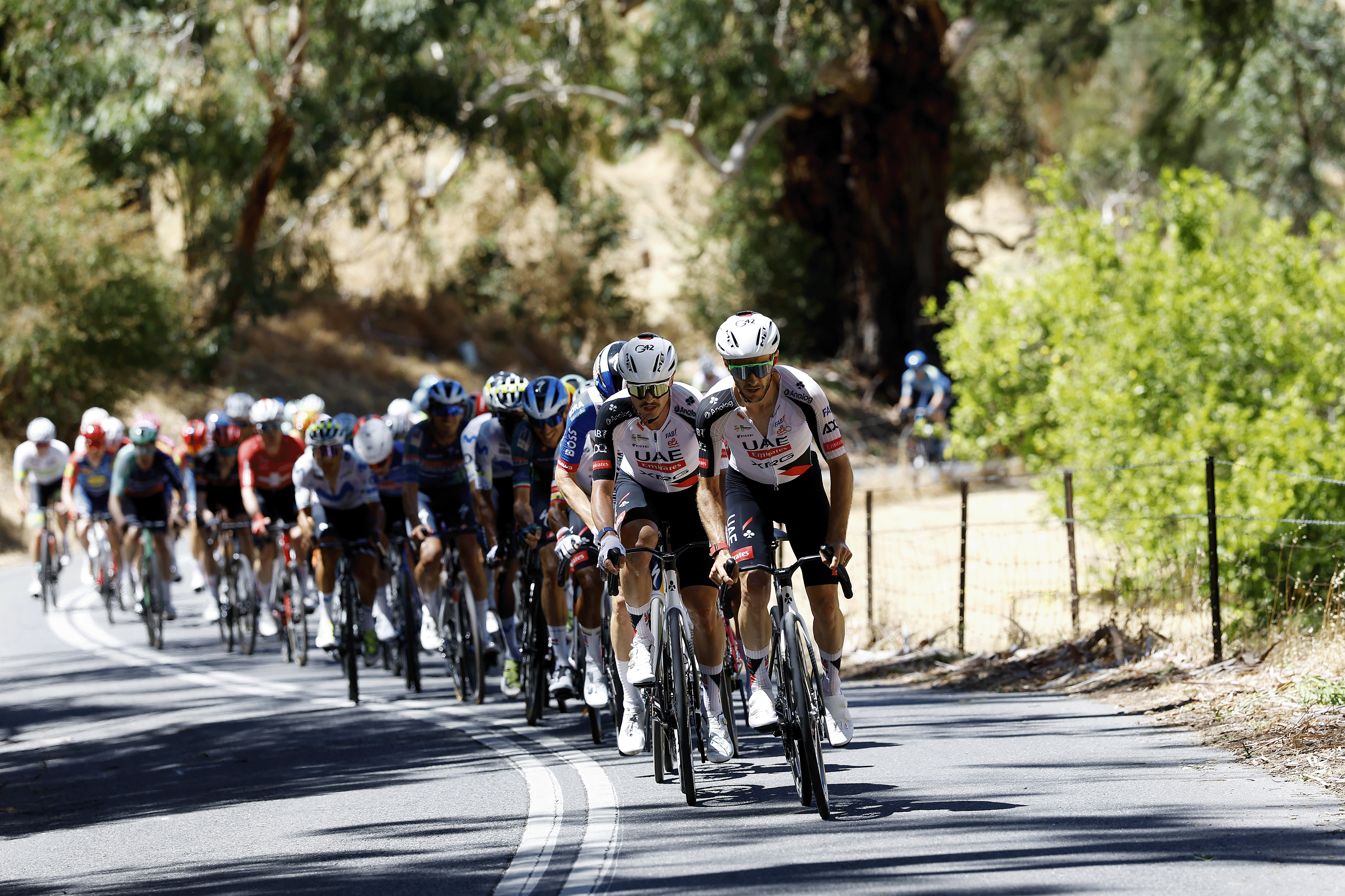 NORWOOD, AUSTRALIA - JANUARY 22: (L-R) Jay Vine of Australia and Adam Yates of Great Britain and UAE Team Emirates leads the peloton during the 26th Santos Tour Down Under 2026, Stage 2 a 148.1km stage from Norwood to Uraidla 495m / #UCIWT / on January 22, 2026 in Norwood, Australia. (Photo by Con Chronis/Getty Images)