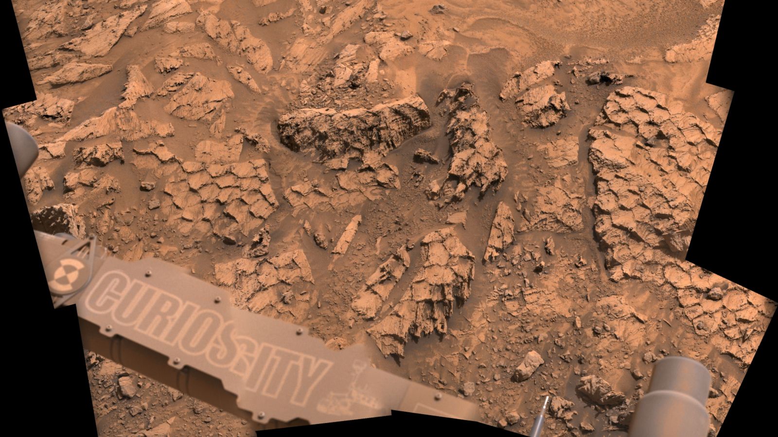 A close-up photo of rocky polygons on Mars that look like giant reptile scales