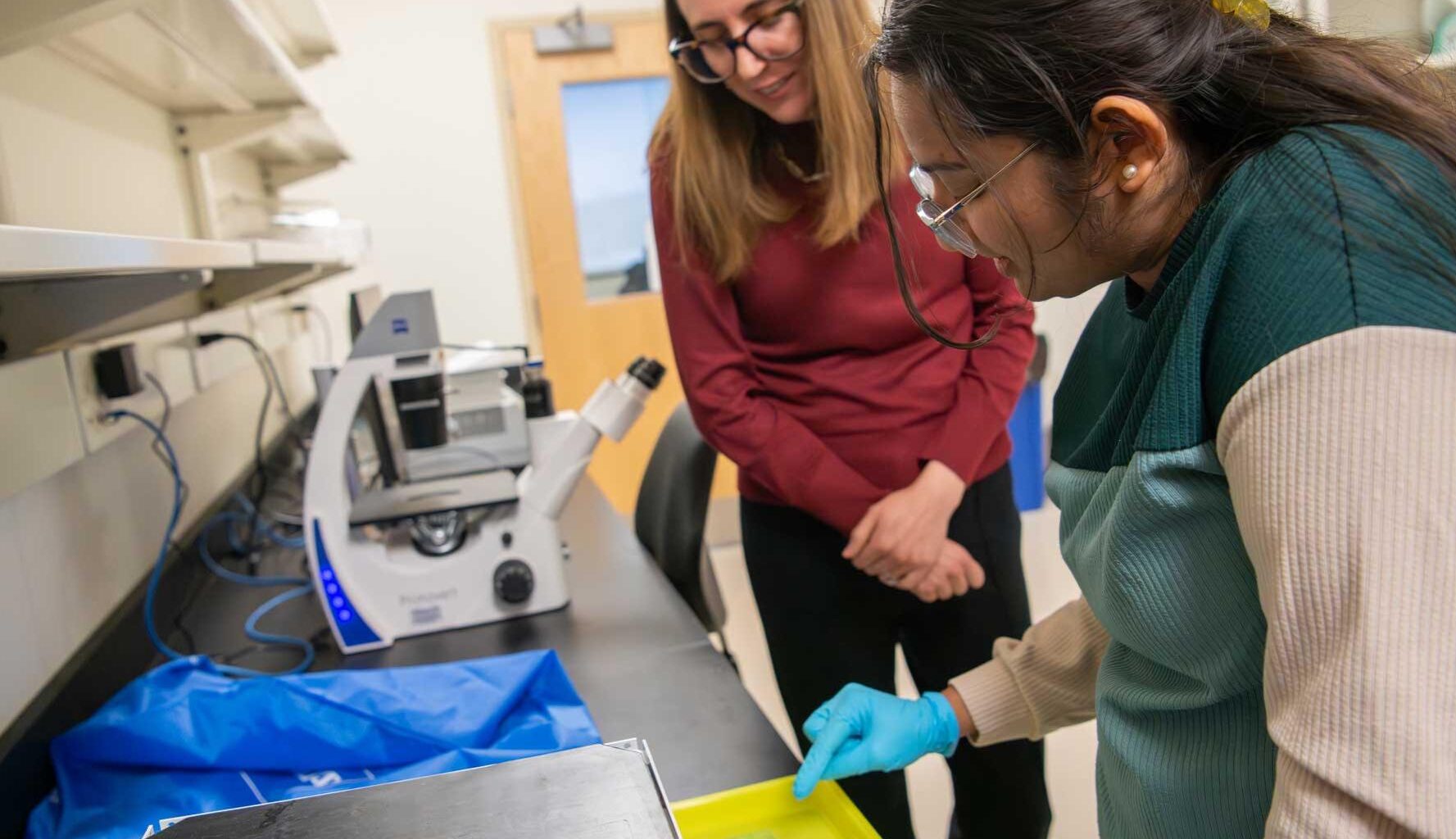 Mitochondrial Droplets' Role in Aging Uncovered