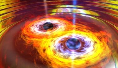 Brighter Side of News