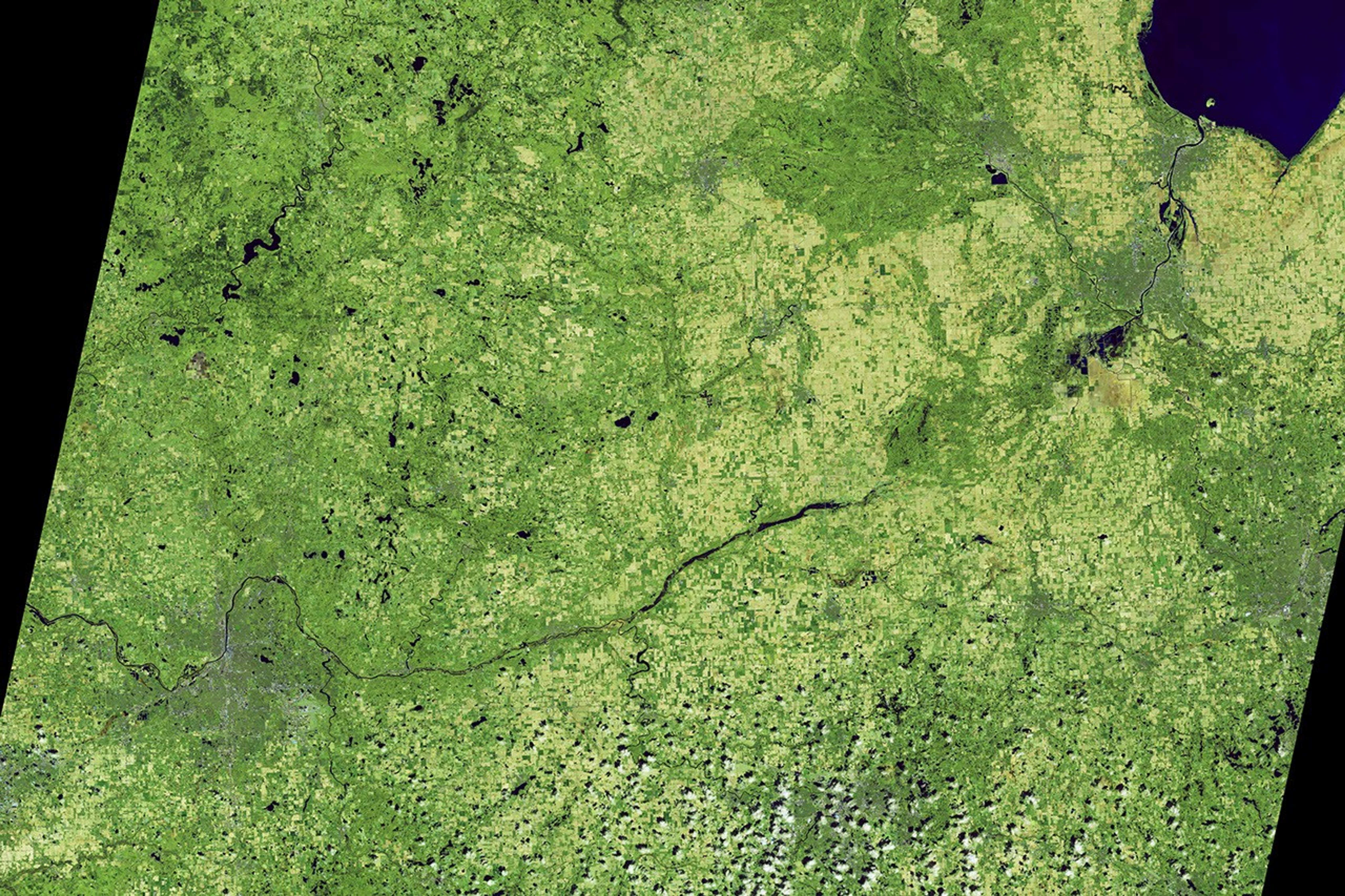 The Grand River in Michigan winds across a false-color image from east to west. Water is dark blue, and vegetation appears in shades of green.