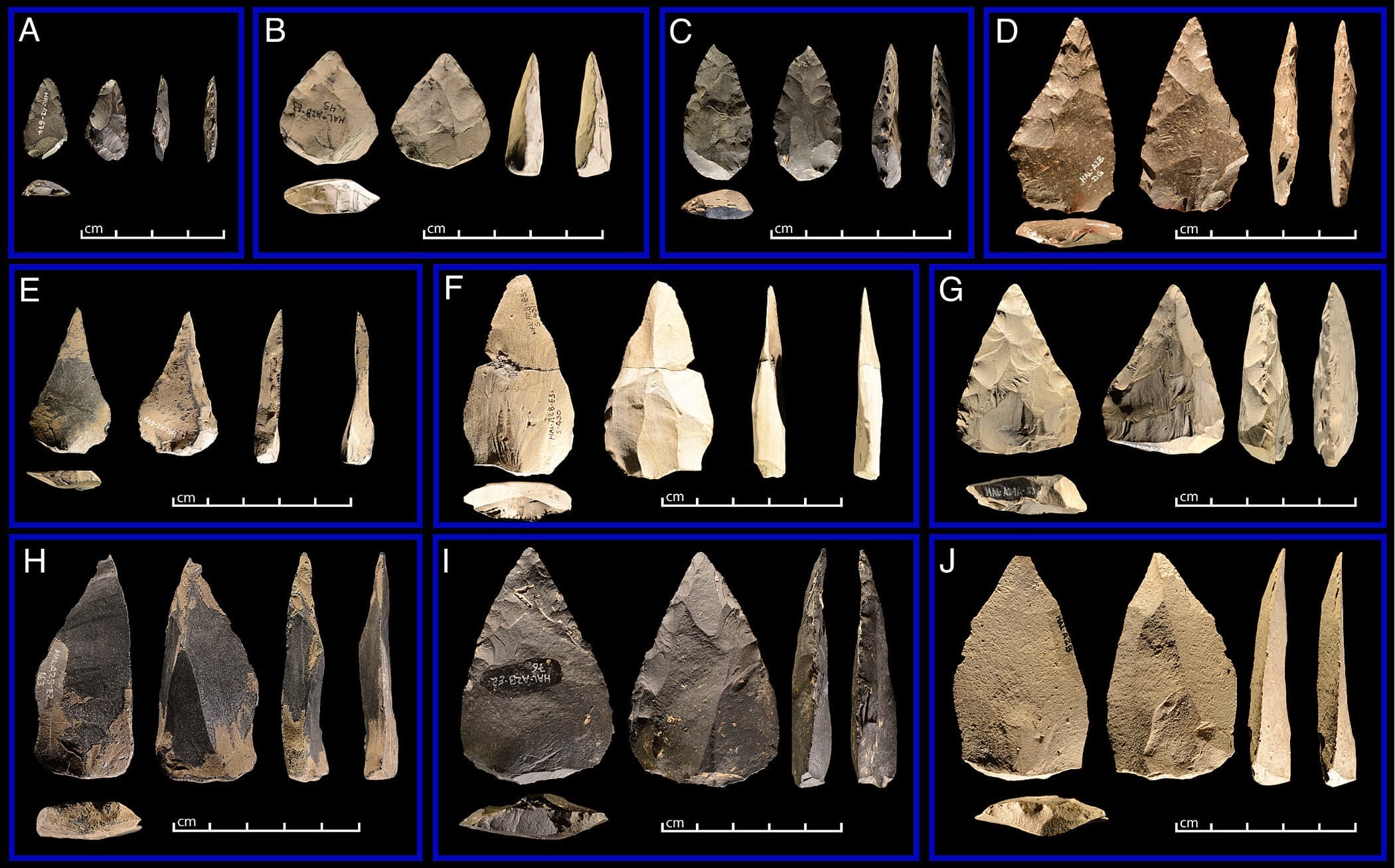 Middle Stone Age stone points, showing variation in craftsmanship
