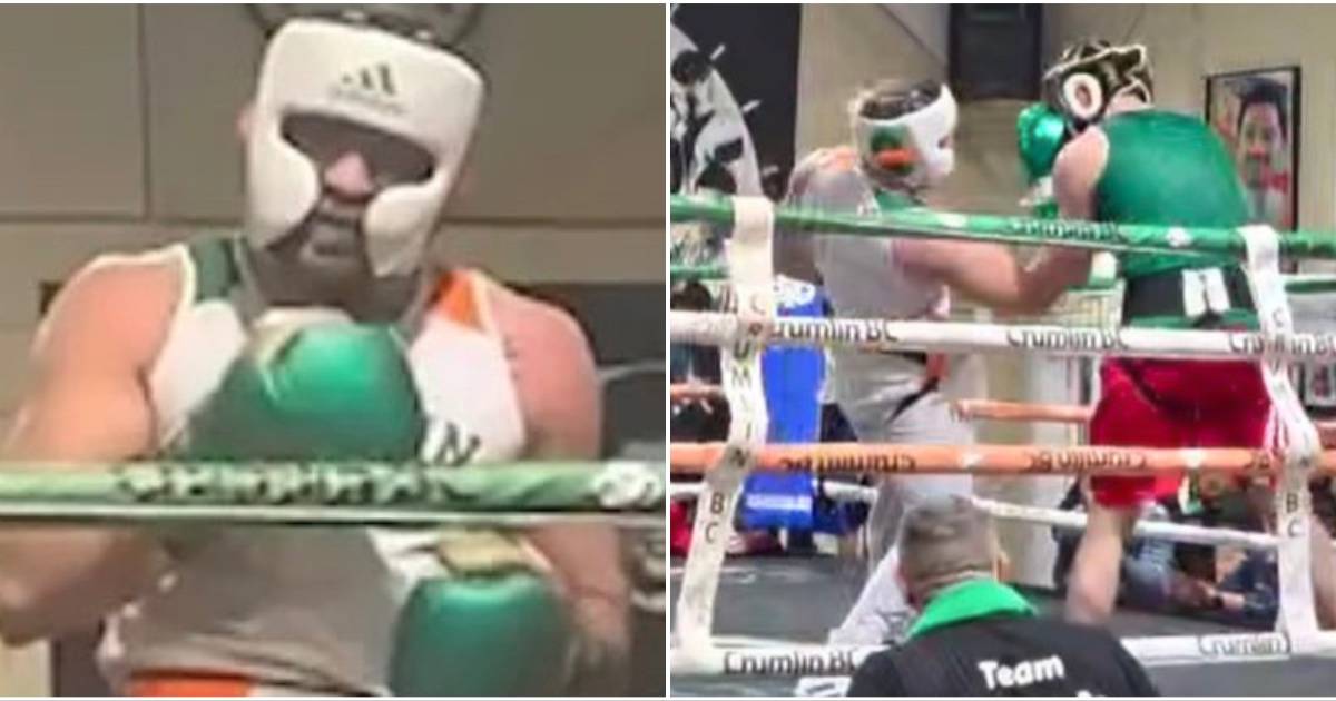 UFC Star Conor McGregor Takes Part in Surprise Boxing Match