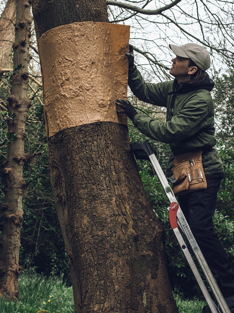 biodegradable thermoplastic casts tree bark and branches into light sculptures - 9