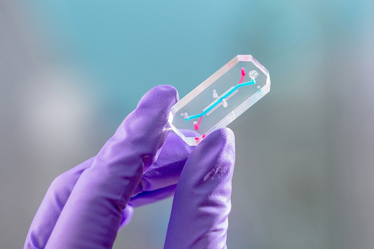 A glass rectangle with a blue line and a red line intersecting at the center. A purple gloved hand holds it up.
