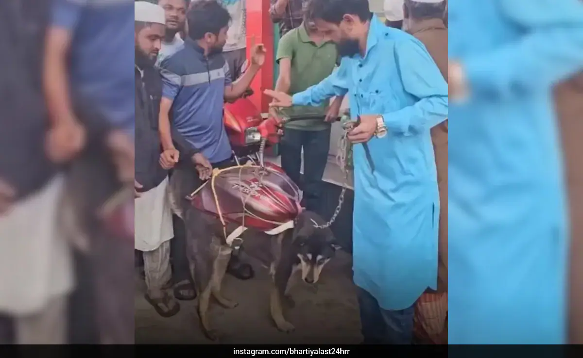 Fuel Crisis Throws Up An Unexpected Moment