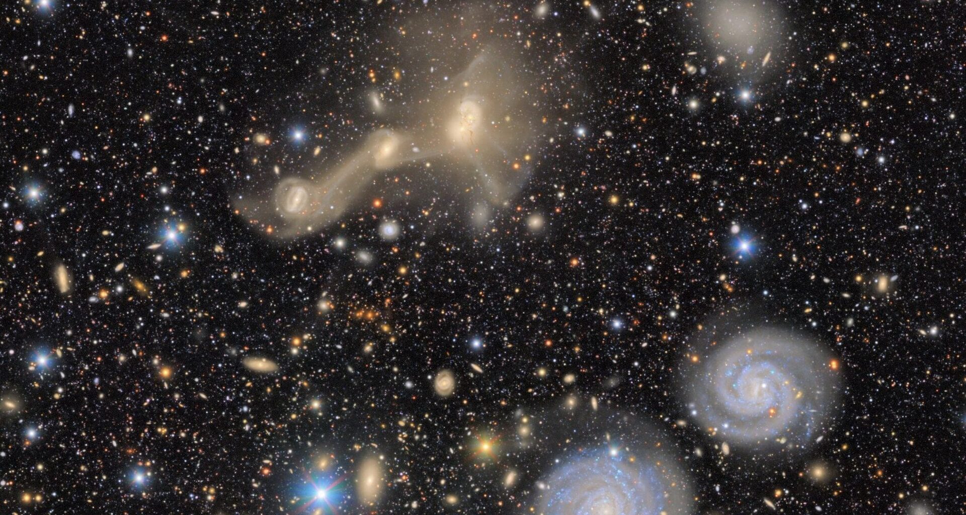 A Vera Rubin Observatory view of a portion of the Virgo Cluster. Galaxies are crammed together so close that that their gravitational pull tears them apart,as we see in the two galaxies near the center of the image. That leaves behind some galaxies without as many stars as they started with, but with "overmassive" black holes. Image credit: RubinObs/NOIRLab/SLAC/NSF/DOE/AURA
