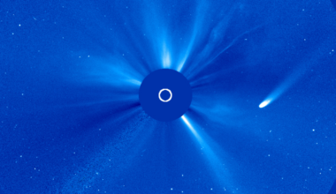 A comet is pictured in coronagraph data flying past the sun.