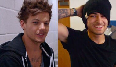 Netflix Cancels Zayn & Louis Doco Series