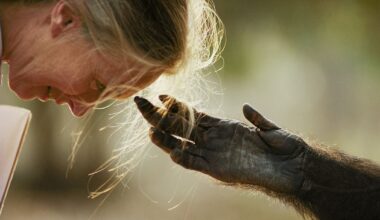 A celebration of Earth Day through the images of the best environmental photographers