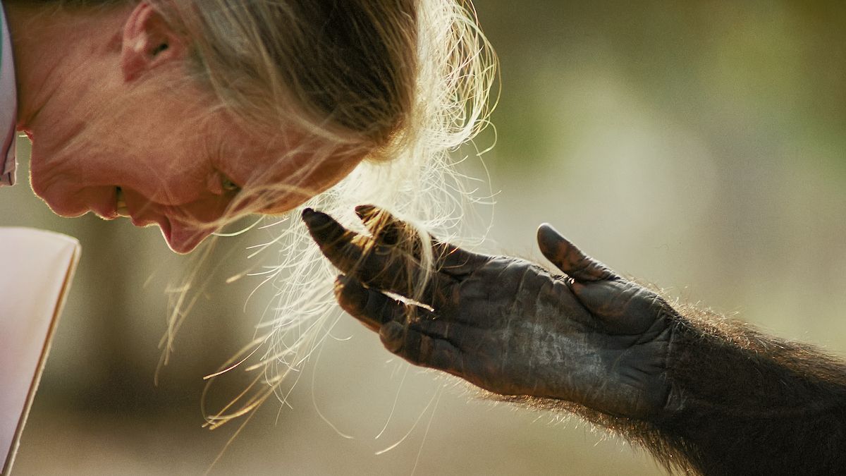 A celebration of Earth Day through the images of the best environmental photographers