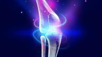Can This "Living Knee" Revolutionize Joint Replacement?