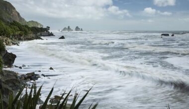 Why don't we harness the power of the ocean to cut our dependence on oil?