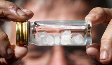 What's the most painful sting in the world?