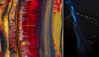 Split image: Left side shows vibrant, abstract patterns in red, gold, and blue resembling a textured painting; right side features a flock of birds flying over dark water with a glowing blue streak, creating a striking contrast.