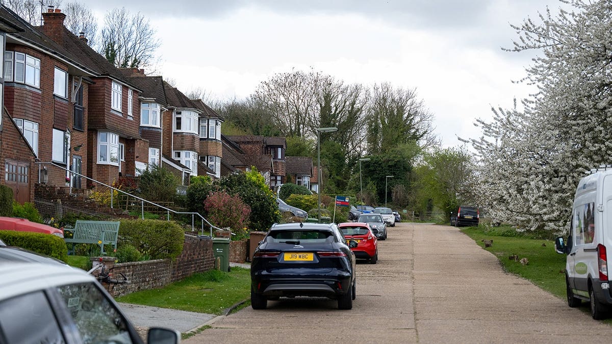 Pete the Peacock standing on a street in Guildford, Surrey