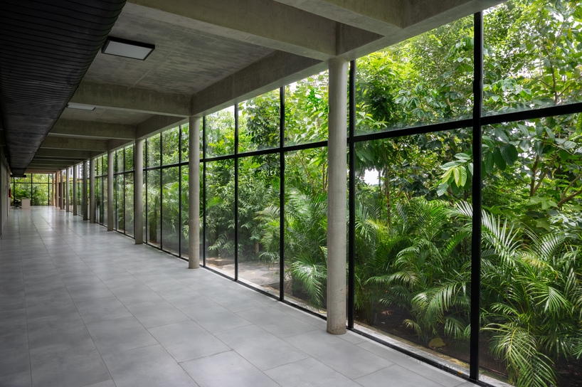 open courtyards and evolving green facades turn hyderabad school campus into living forest - 1