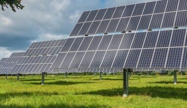 Double down on renewables?