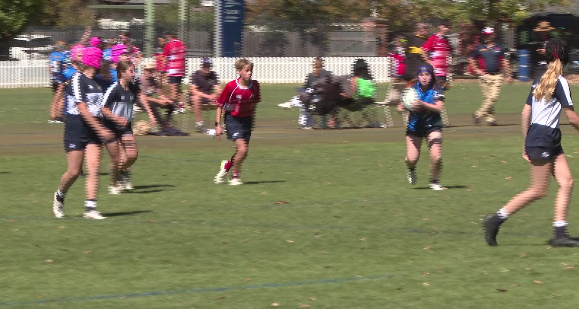Dozens of junior rugby teams hit the paddock – NBN News