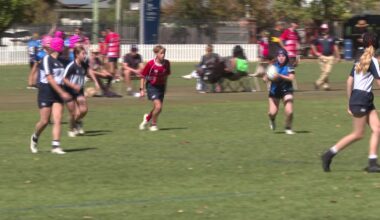 Dozens of junior rugby teams hit the paddock – NBN News