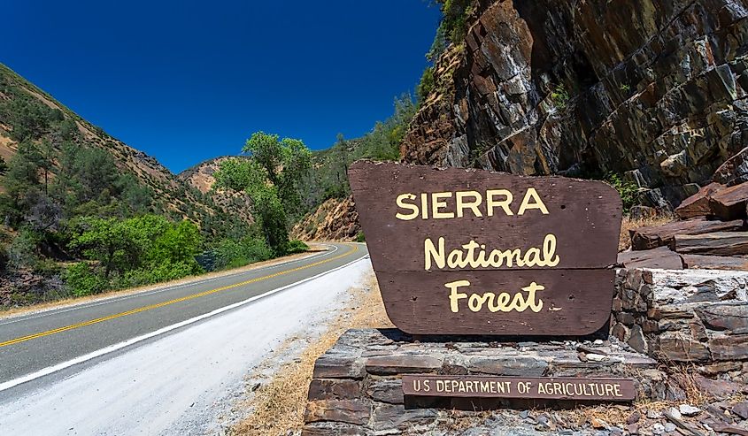Sierra National Forest sign, California.