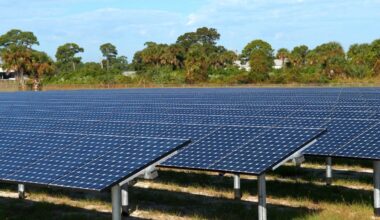 Scientists Generated Solar Power After Dark, Thanks to a Trick Using Wood