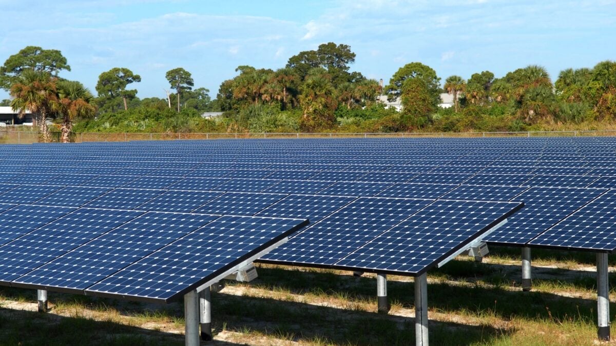 Scientists Generated Solar Power After Dark, Thanks to a Trick Using Wood