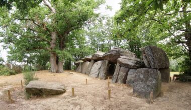 Brighter Side of News