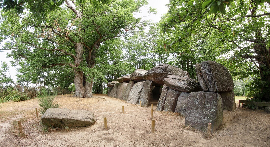 Brighter Side of News