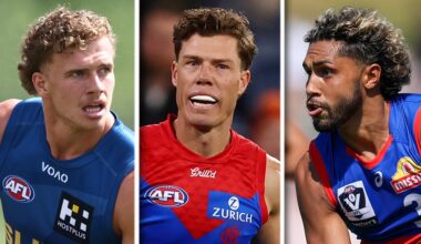 Suns' forward boost, veteran Demon returns, Dogs add speed