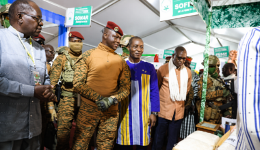 Burkina Faso set to take over $607m state cotton firm after gold industry shake-up