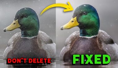 Can DxO Pure Raw 6 Save an ISO 25,600 Shot?