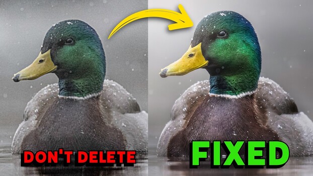 Can DxO Pure Raw 6 Save an ISO 25,600 Shot?