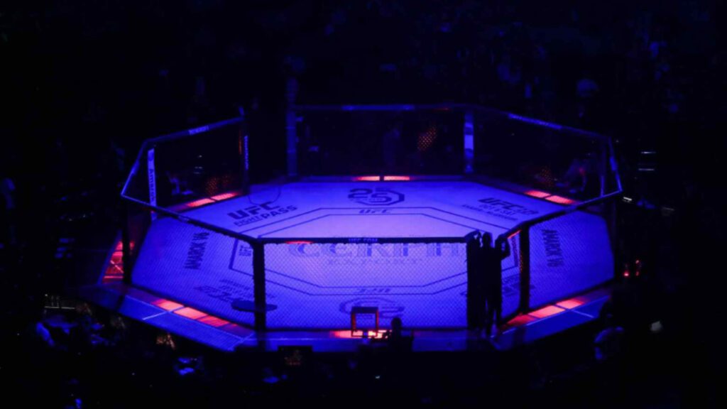 Find out Who Is the Highest Paid MMA Fighter in 2026 Here