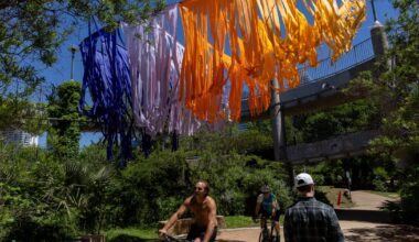 Artists weave nature into works installed along Austin trail