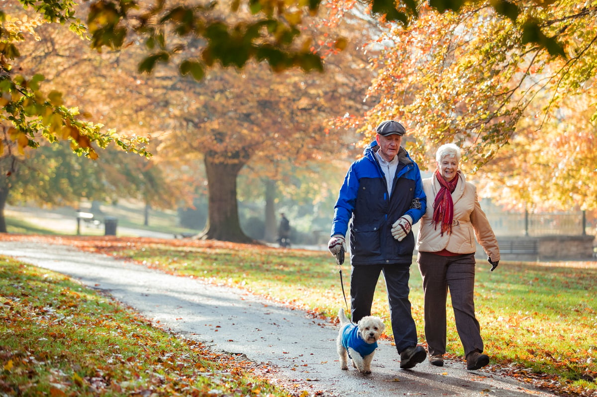 Couple walking a dog.