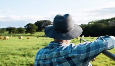 A farmer's back is to the camera as he looks out into a grassy field with cows out of focus