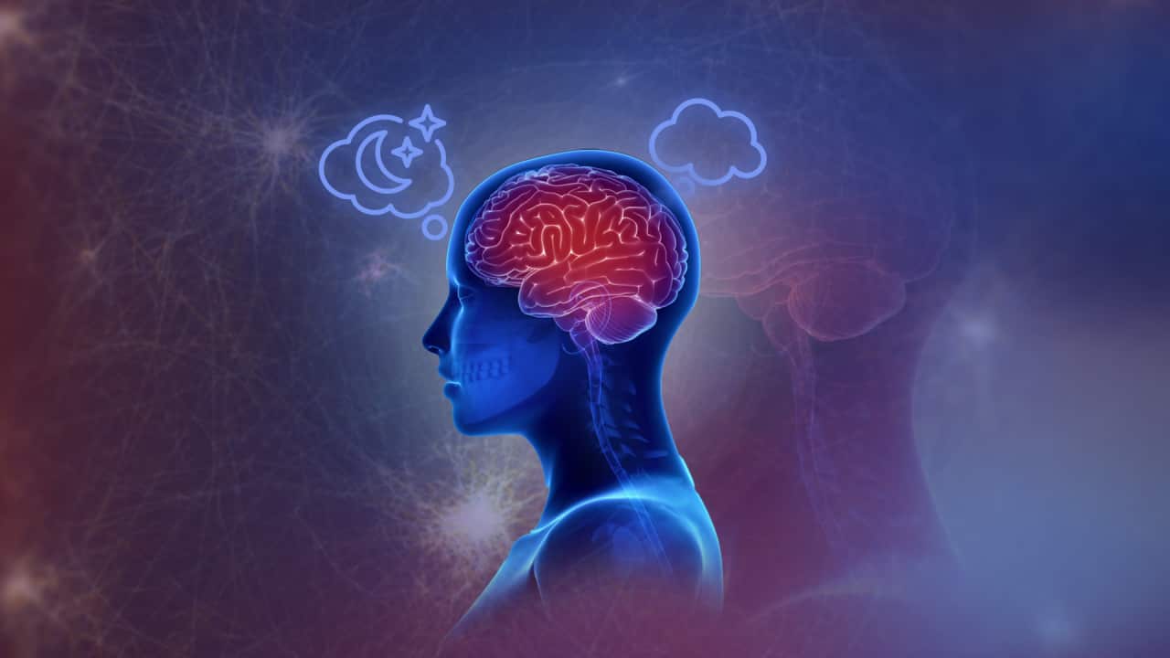 A graphic image of a person showing a depiction of their brain with bubbles floating above their head.