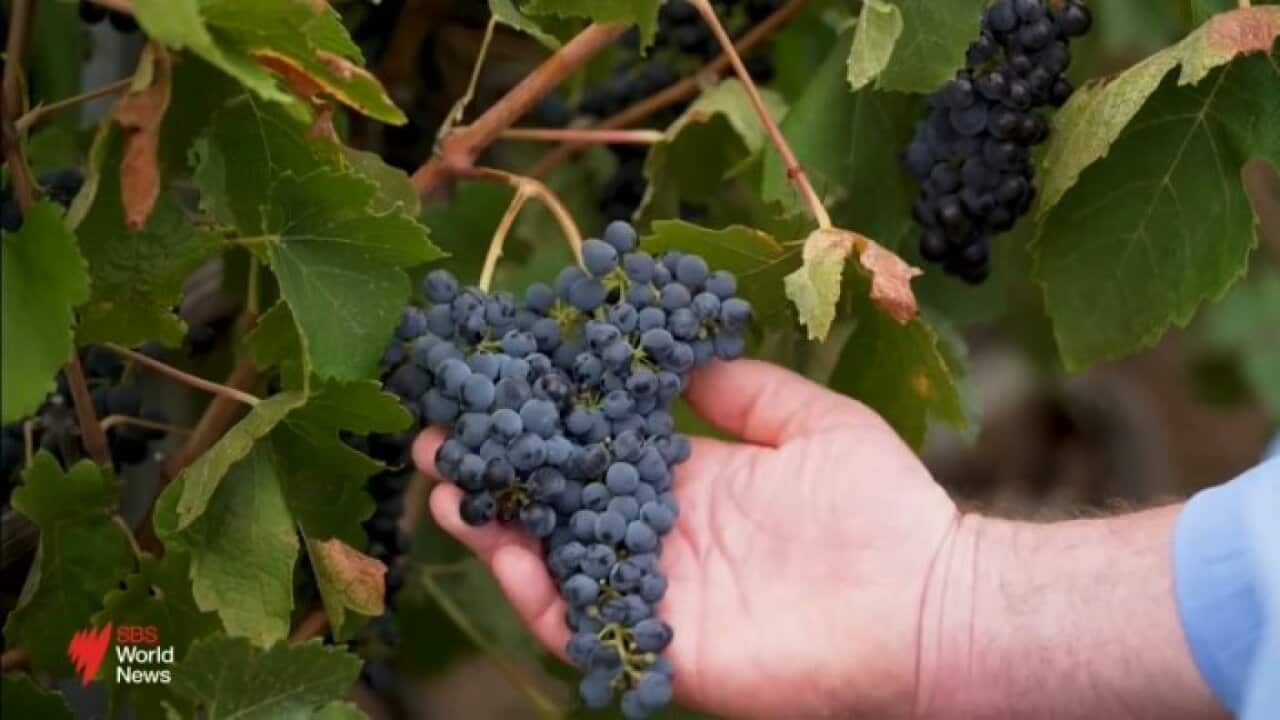 High fuel prices and shortages fail to deter holiday makers for the Easter long weekend