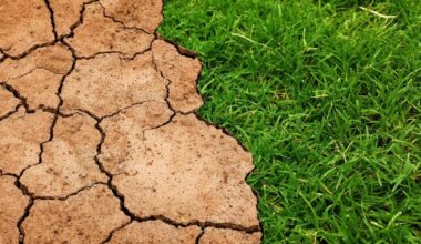 Ocean Feedback Loop May Speed Up Climate Change