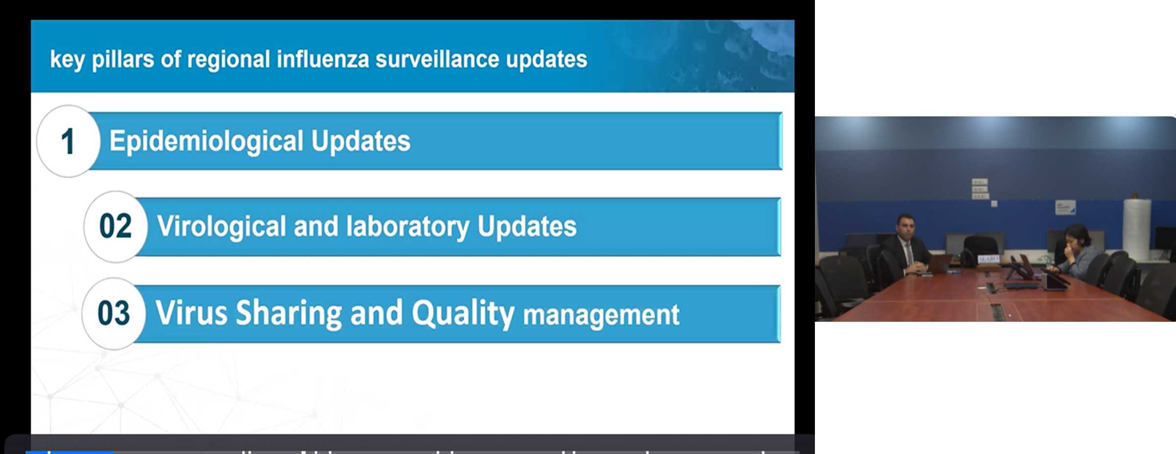 Vaccine Composition Meetings and Strengthening Influenza Surveillance