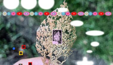 Welcome to artist Yunbomu’s sticker-bombed dream worlds, complete with strange symbols and eye floaters