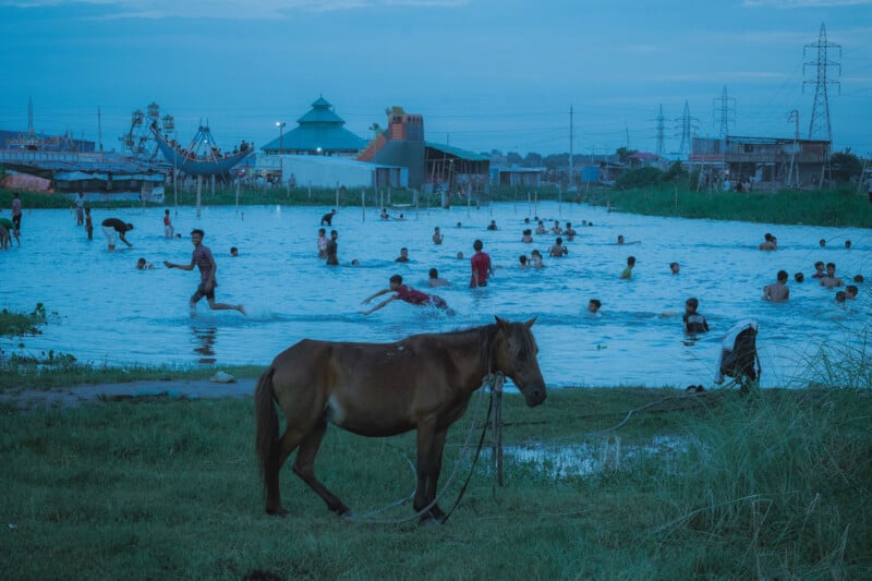A brown horse stands on grass in the foreground while many people swim and play in a large body of water behind it, with amusement park rides, buildings, and power lines in the distance under a blue sky.