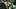 Eugene, Oregon, USA; Oregon Ducks quarterback Bo Nix (10) and head coach Dan Lanning have their picture taken before a game a Eugene, Oregon, USA; Oregon Ducks quarterback Bo Nix (10) and head coach Dan Lanning have their picture taken before a game a
